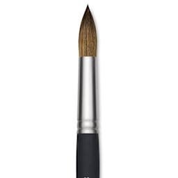 Princeton Aqua Elite Series 4850 Synthetic Brush - Round, Size 20, Short Handle, close up