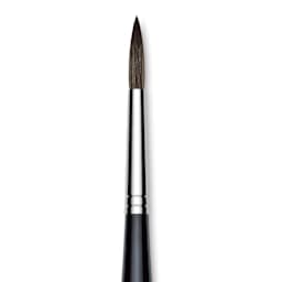 Da Vinci Casaneo Synthetic Squirrel Watercolor Brush - Round, Size 8, Short Handle, Synthetic, close up
