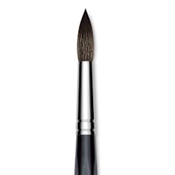 Da Vinci Casaneo Synthetic Squirrel Watercolor Brush - Round, Size 16, Short Handle, Synthetic, close up