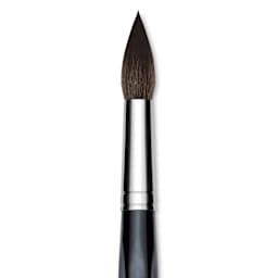 Da Vinci Casaneo Synthetic Squirrel Watercolor Brush - Round, Size 24, Short Handle, Synthetic, close up
