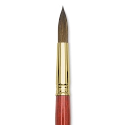 Blick Master Kolinsky Sable Brush - Pointed Round, Short Handle, Size 16 close up