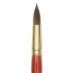 Blick Master Kolinsky Sable Brush - Pointed Round, Short Handle, Size 20 close up
