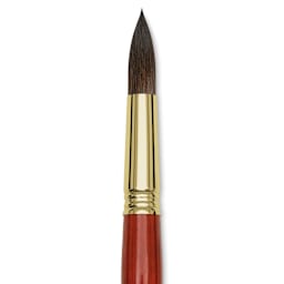 Blick Master Natural Brush - Round, Size 18, close-up