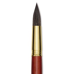 Blick Master Natural Brush - Round, Size 22, close-up