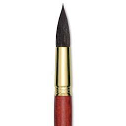 Blick Master Natural Brush - Round, Size 24, close-up