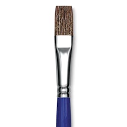 Blick Scholastic Pony Brush - Bright, Short Handle, Size 14 close up