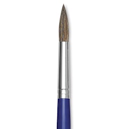 Blick Scholastic Ox Brush - Round, Short Handle, Size 12 close up