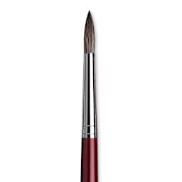 Da Vinci Black Sable Brush - Round, Long Handle, Size 16 close up