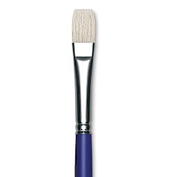 Blick Scholastic White Bristle Brush - Bright, Size 14 close up