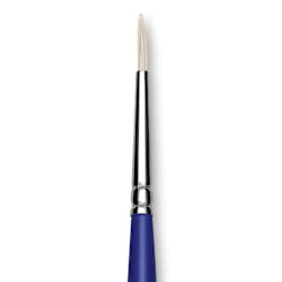 Blick Scholastic White Bristle Brush - Round, Size 2 close up