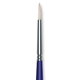 Blick Scholastic White Bristle Brush - Round, Size 4 close up