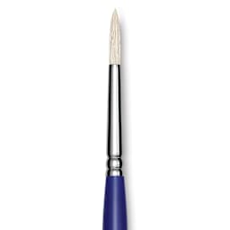 Blick Scholastic White Bristle Brush - Round, Size 6 close up