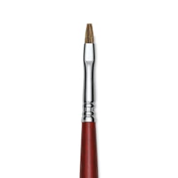 Escoda Bravo Light Ox Hair Brush - Bright, Long Handle, Size 4 close up