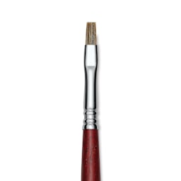 Escoda Bravo Light Ox Hair Brush - Bright, Long Handle, Size 6 close up