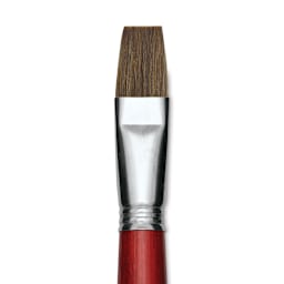 Escoda Bravo Light Ox Hair Brush - Bright, Long Handle, Size 22 close up