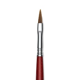 Escoda Bravo Light Ox Hair Brush - Long Filbert, Long Handle, Size 6 close up