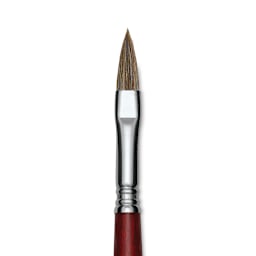 Escoda Bravo Light Ox Hair Brush - Long Filbert, Long Handle, Size 10 close up