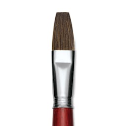 Escoda Bravo Light Ox Hair Brush - Flat, Long Handle, Size 22 close up