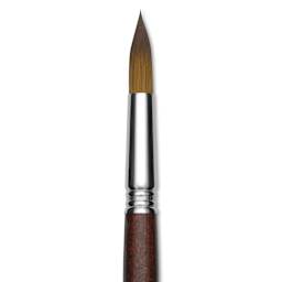 Escoda Prado Tame Synthetic Brush - Round, Short Handle, Size 16, close-up
