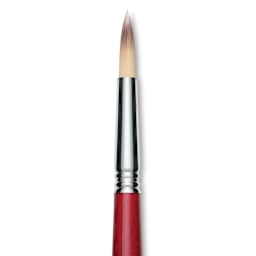 Escoda Opera Takatsu Synthetic Brush - Round, Long Handle, Size 14 close up