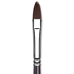 Winsor & Newton Galeria Brush - Filbert, Size 8, Long Handle (close-up to show brush head)