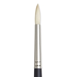 Winsor & Newton Artists' Oil Brush - Round, Long Handle, Size 4 close up