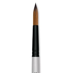 Robert Simmons Simply Simmons Synthetic Brush - Round, Short Handle, Size 12 close up