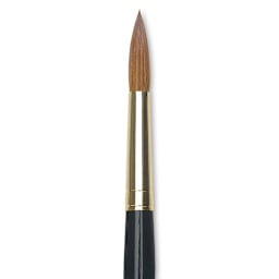 Da Vinci Maestro Kolinsky Brush - Full Belly Round, Short Handle, Size 12 close up