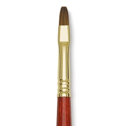 Blick Master Kolinsky Sable Brush - Bright, Short Handle, Size 6 close up