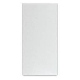 Blick Studio Cotton Canvas Panel - 4" x 8"