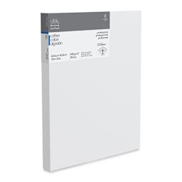 Winsor & Newton Professional Cotton Canvas - 16" x 20", Deep Edge