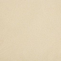 Blick Unprimed Cotton Canvas - Medium Weight, Portrait-Smooth Texture, 10 oz, 60" x 10 yds close-up of texture