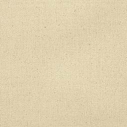 Blick Unprimed Cotton Canvas - Lightweight, Fine Texture, 7oz, 72" x 10 yds close-up of canvas surface