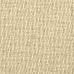 Blick Unprimed Cotton Canvas - Medium Weight, Medium-Smooth Texture, 120" x 50 yds, close-up of canvas
