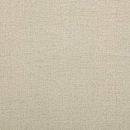 Belle Arti Clear Glue Sized Linen Canvas by the Yard - Extra Fine, 82" x 1 yd, canvas close-up