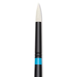 Princeton Series 6500 Aspen Synthetic Brush - Size 8, Round, Long Handle