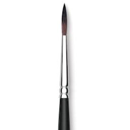 Raphaël Soft Aqua Brush - Round, Size 6, Short Handle close up