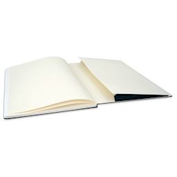 Moleskine Art Collection Watercolor Notebook - 16-1/2" x 12", Portrait, 60 Pages (open to back pocket)