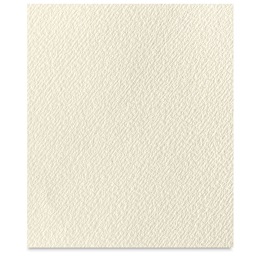 Hahnemühle Ingres Paper - 18-3/4" x 24-3/4", Antique, Single Sheet