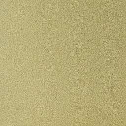 Sennelier La Carte Pastel Card - 19" x 25", Light Green