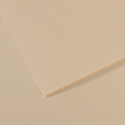 Canson Mi-Teintes Drawing Paper - 19" x 25", Eggshell, Single Sheet