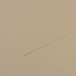 Canson Mi-Teintes Drawing Paper - 19" x 25", Pearl, Single Sheet