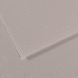 Canson Mi-Teintes Drawing Paper - 19" x 25", Moon Gray, Single Sheet