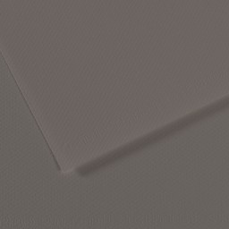 Canson Mi-Teintes Drawing Papers - 8-1/2" x 11", Graphite, Pkg of 25 Sheets