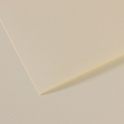Canson Mi-Teintes Drawing Paper - 19" x 25", Lily, Single Sheet