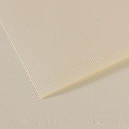 Canson Mi-Teintes Drawing Paper - 8-1/2" x 11", Lily, 25 Sheets