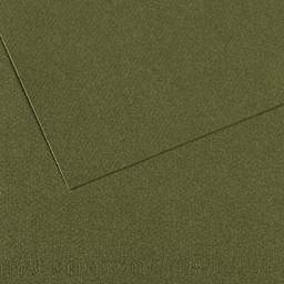 Canson Mi-Teintes Drawing Paper - 19" x 25", Ivy, Single Sheet