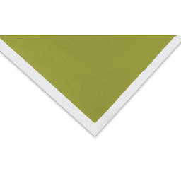 Art Spectrum Pastel Paper - 19-1/2" x 27-1/2", Olive Green