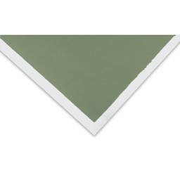 Art Spectrum Colourfix Original Coated Pastel Paper - 9" x 12", Leaf Green Dark