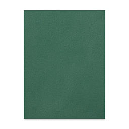 Clairefontaine Pastelmat Pad - Palette No. 5, 12 Sheets - Dark Green